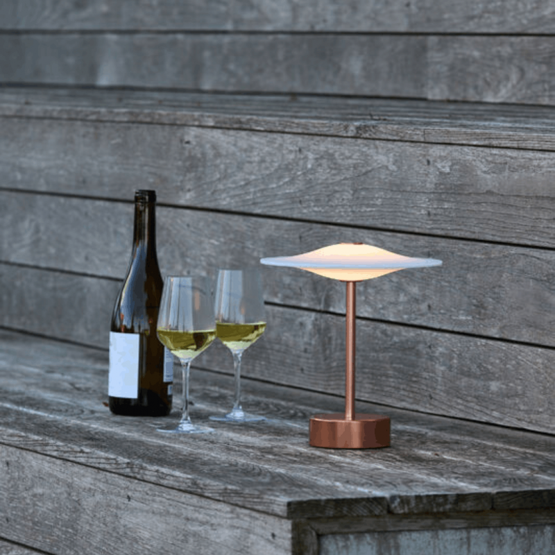 SinusPortableKobberPietHein-01