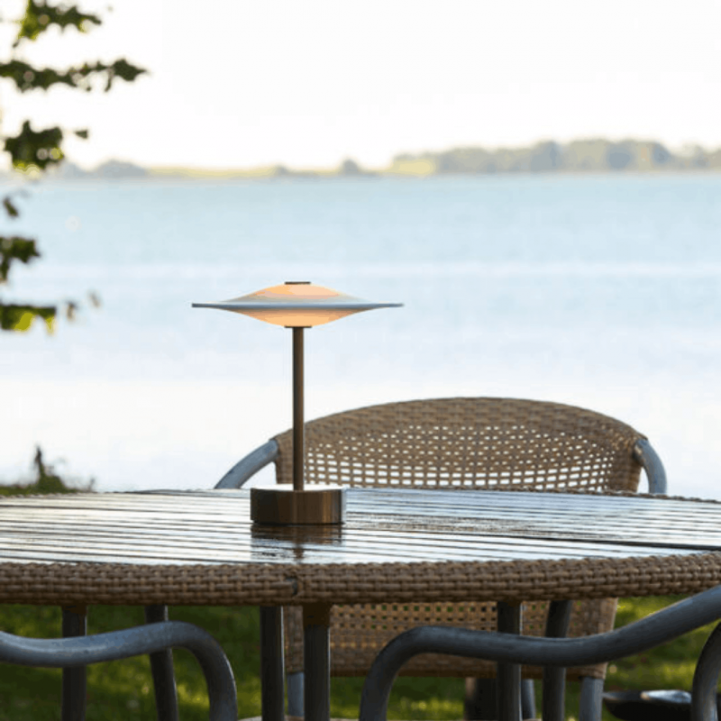 SinusPortableBronzePietHein-01