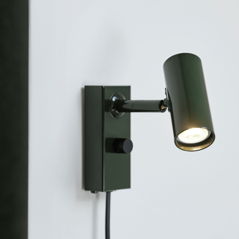 CatoVglampeGrnBelid-01