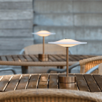 SinusPortableBronzePietHein-01