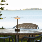 SinusPortableBronzePietHein-01