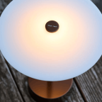 SinusPortableBronzePietHein-01