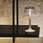 BonjourUnpluggedFrenchRoseFlos-01