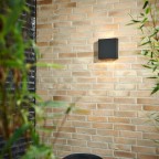 CompactW2UpDownLEDSortLIGHTPOINT-01