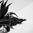 PointbreakPullert2H60SortFlos-01