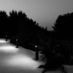 PointbreakPullert2H60SortFlos-01